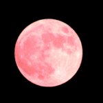 【令和元年最後の満月】２０１９年今年最後の満月コールドムーンを見て！
