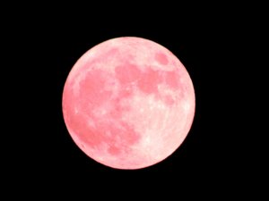 一生に一回しか見られない!?スーパーブルーブラッドムーンを見よう