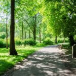 【半ドン】昔は土曜は半日が当たり前だった！？今ではほとんど使われない言葉