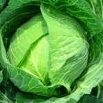 食卓に大打撃!野菜の高騰いつまで続くのか?