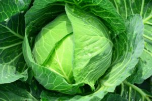 食卓に大打撃!野菜の高騰いつまで続くのか?