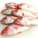 【ノドグロ】アカムツとクロムツの違いとは？どちらもノドグロですが