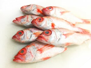 【ノドグロ】アカムツとクロムツの違いとは？どちらもノドグロですが