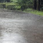 進む環境汚染:酸性雨で本当に頭がハゲるのか?