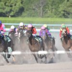 笠松競馬場と就職内定者のTwitter上での公開説教が話題になっています!