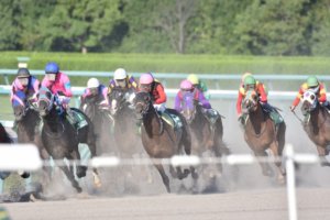 笠松競馬場と就職内定者のTwitter上での公開説教が話題になっています!