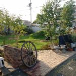 【磐田市メダカ販売NBgarden】珍しいメダカと多肉植物に癒される空間へ